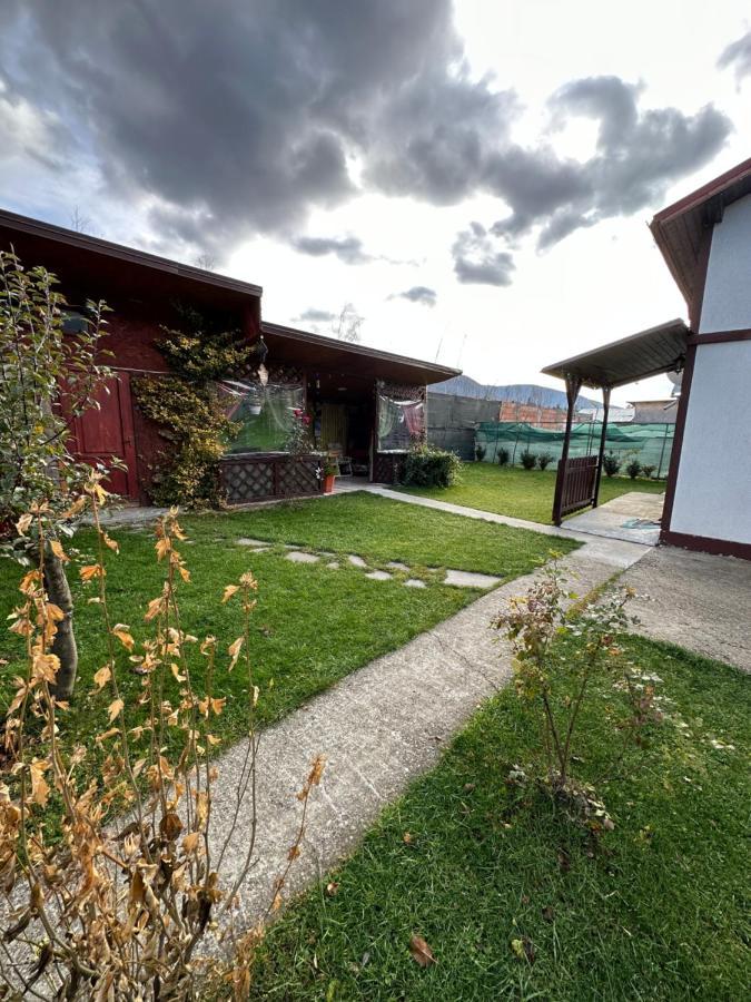 Casa Rares Busteni Exterior photo